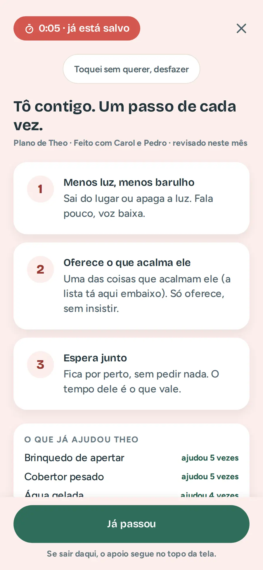 Tela de apoio na crise: plano em três passos e a lista do que já ajudou a criança, tirada dos registros